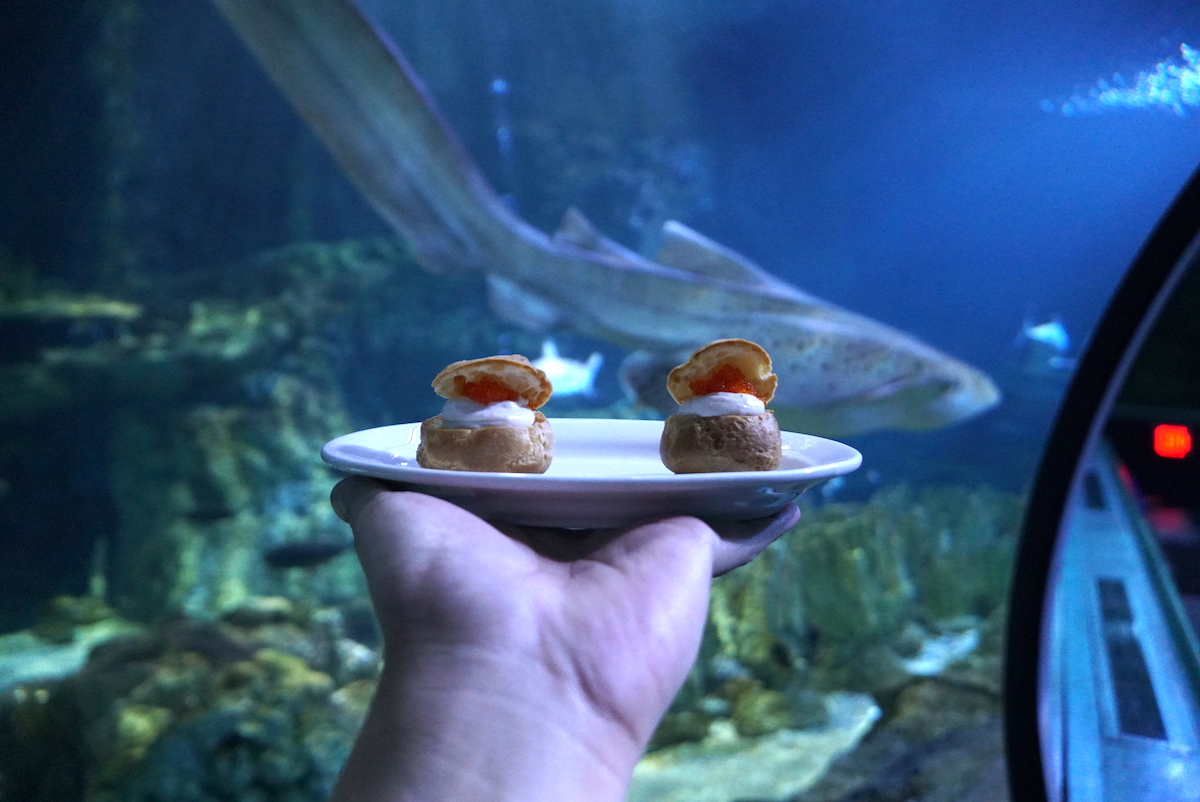 在 Under The Sea 用餐，水族館當作背景，絕對是會讓人頻頻按讚的畫面。